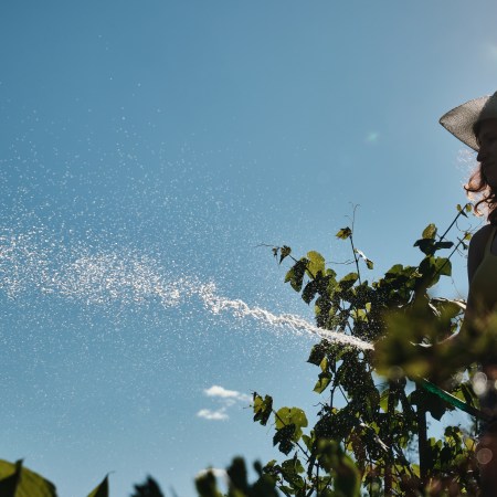 A woman watering plants.
