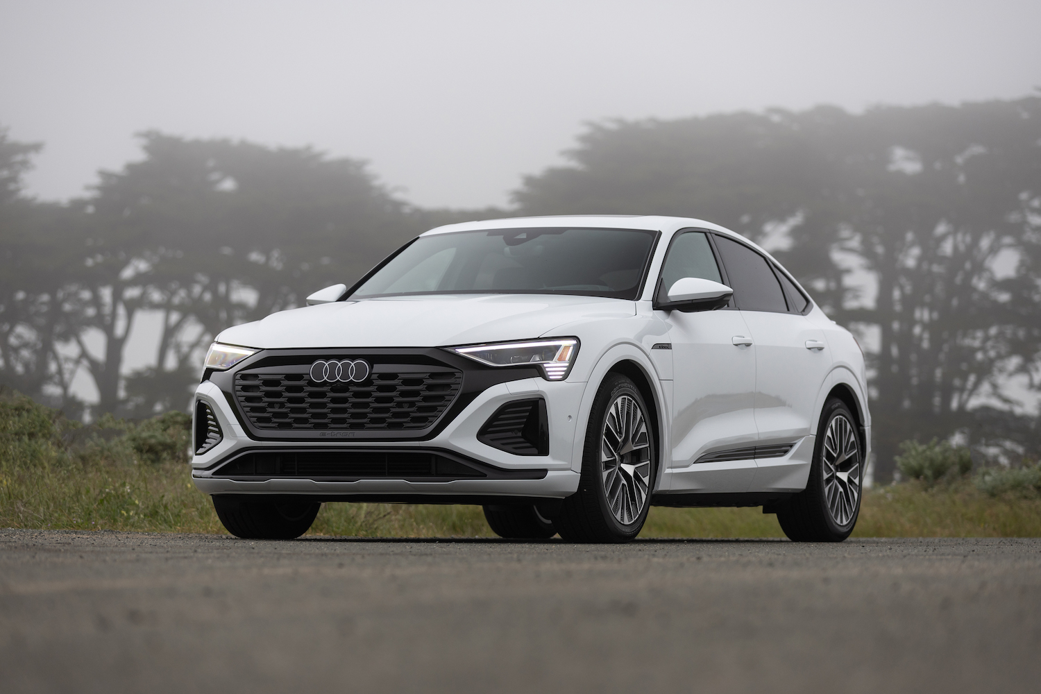 white Audi Q8 car on street on foggy day