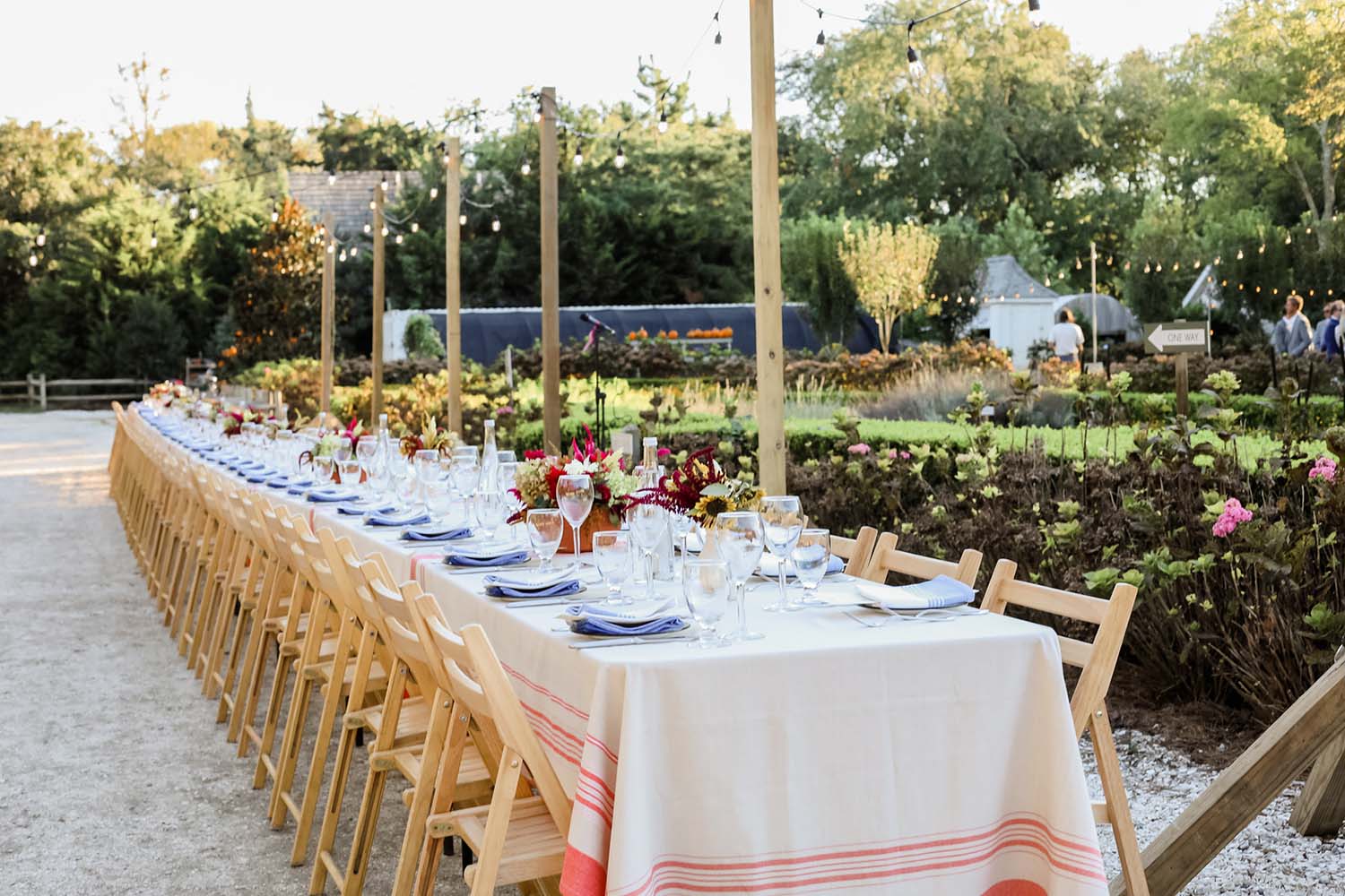 Beach Plum Farm dinner series