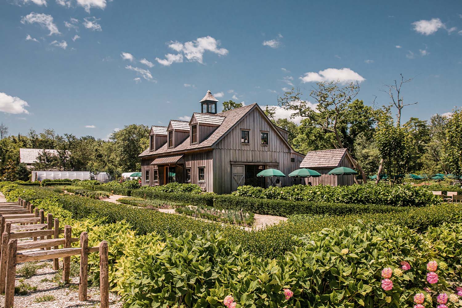 Beach Plum Farm