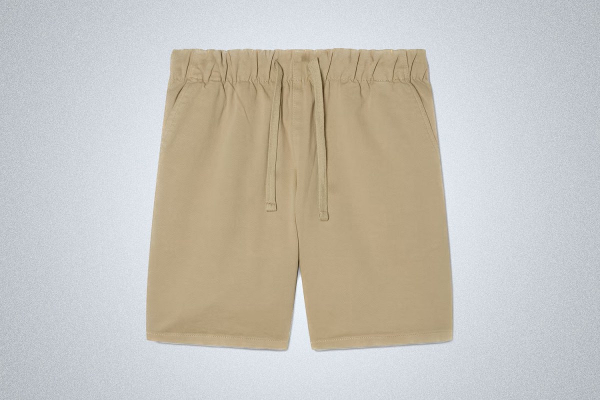 Everlane Easy Short
