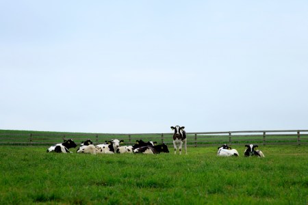 The USDA Gave Millions to Farms Negatively Impacting Climate Change Last Year