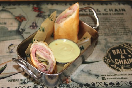 pulled pork spring rolls
