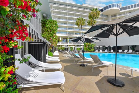 chairs poolside with black and white umbrella and red flowers.