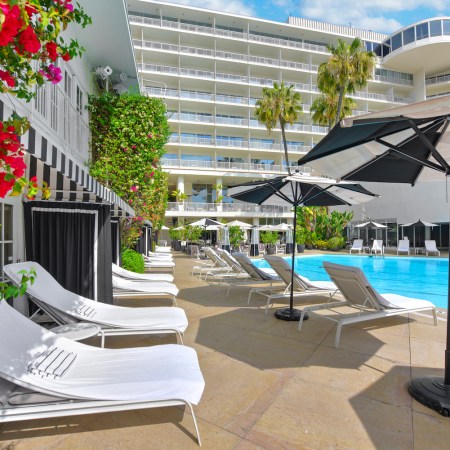 chairs poolside with black and white umbrella and red flowers.