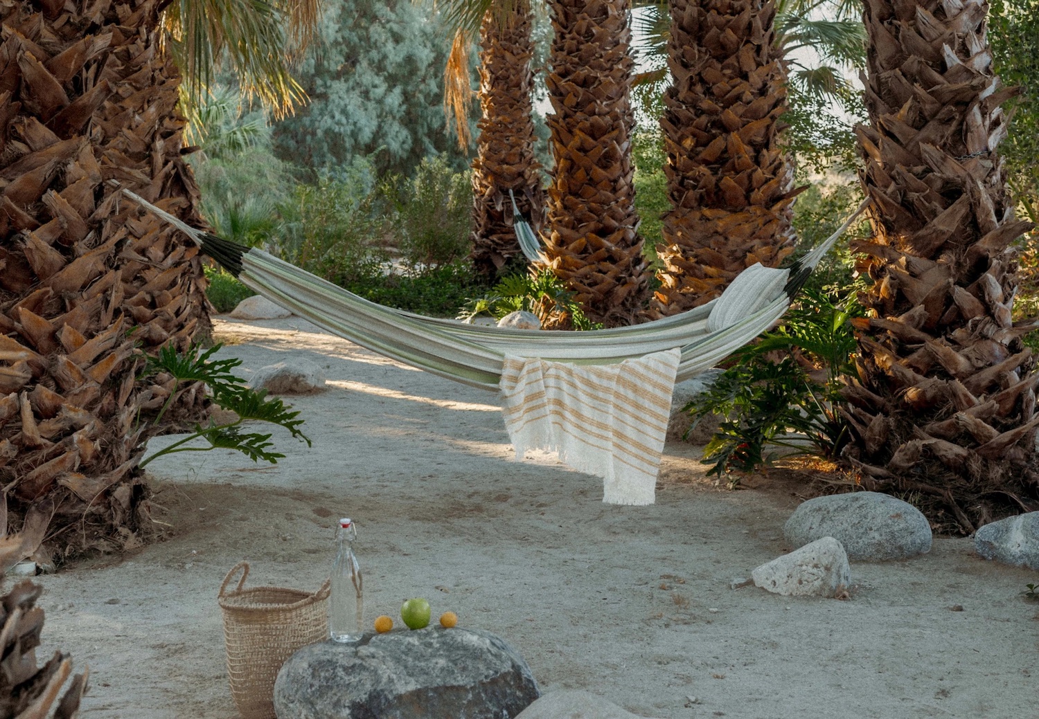 hammock tied between two trees over the sand
