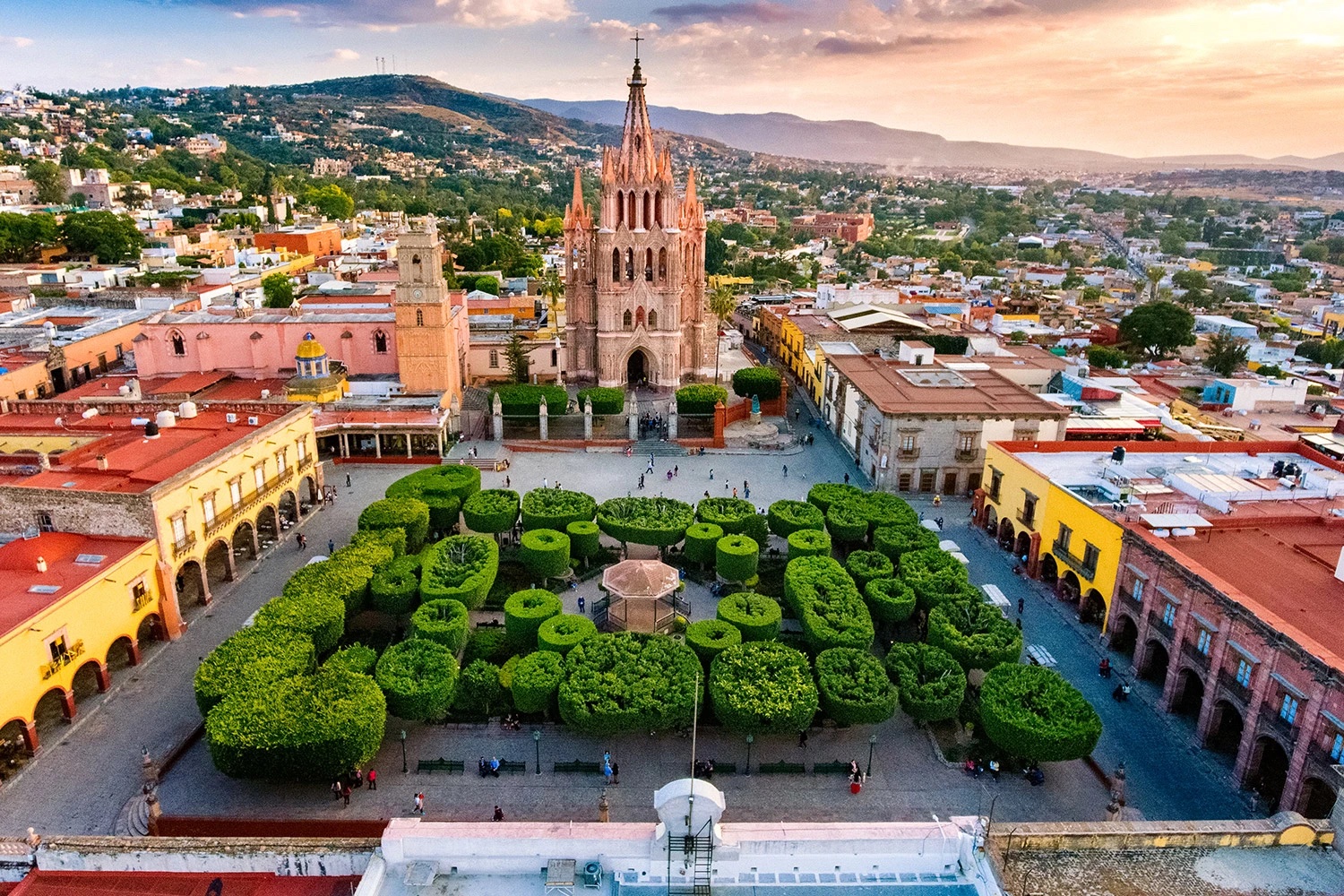 Plot of trees in the center of square-shaped town with colorful buildings.