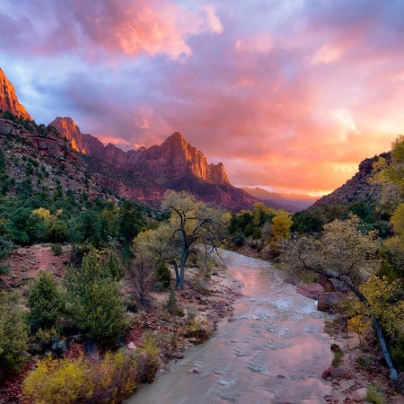 The Watchman, Zion National Park, Utah.