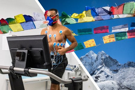 How to Get Into “Himalayan Shape”