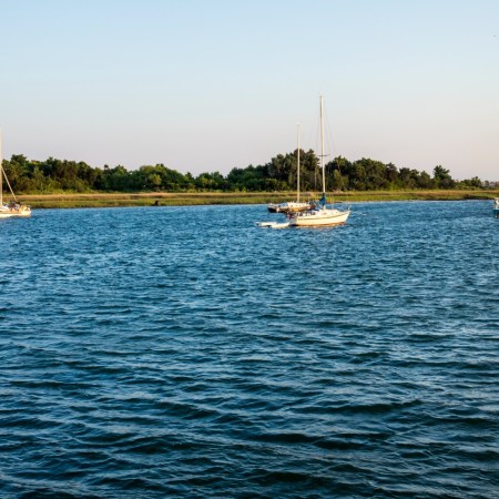 Boats docked near Morehead City