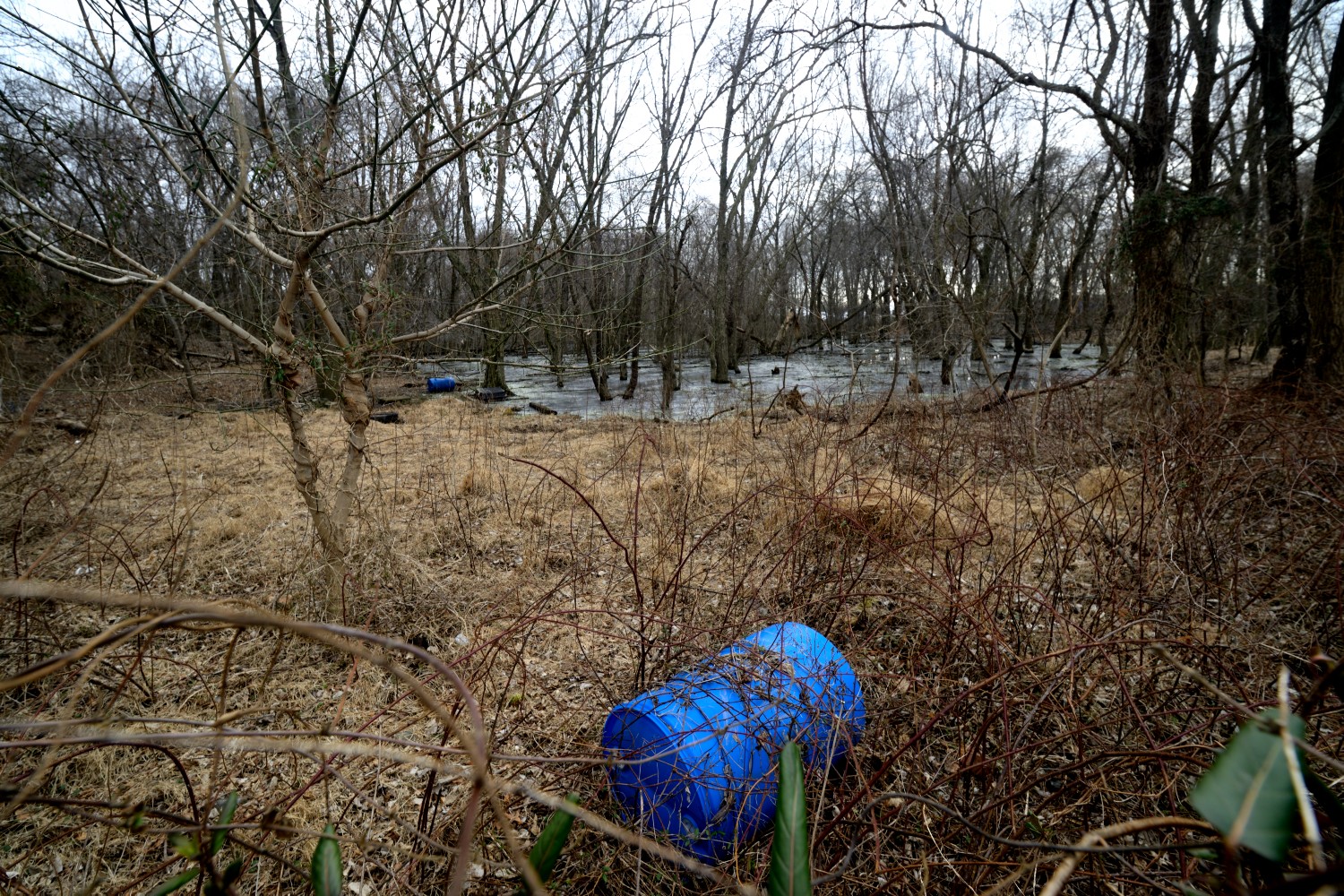 Waste in a marsh