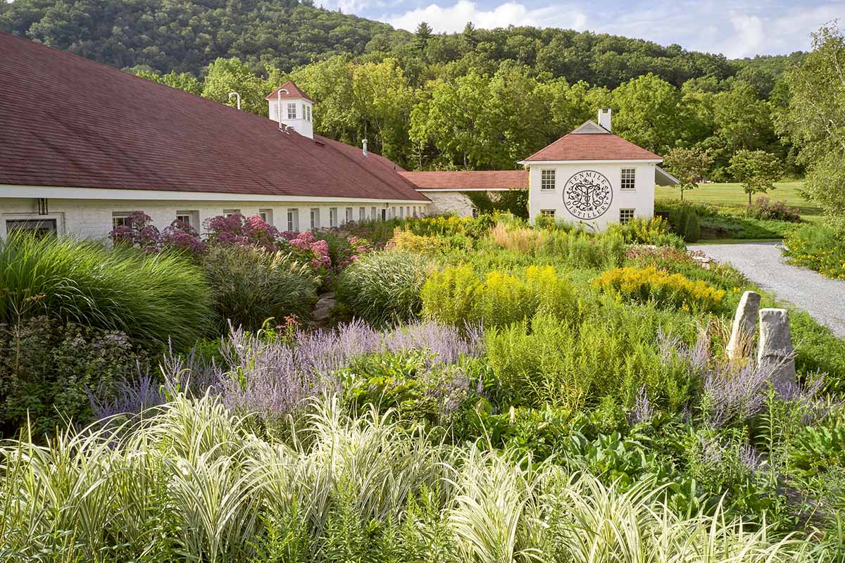 The grounds at Tenmile Distillery 