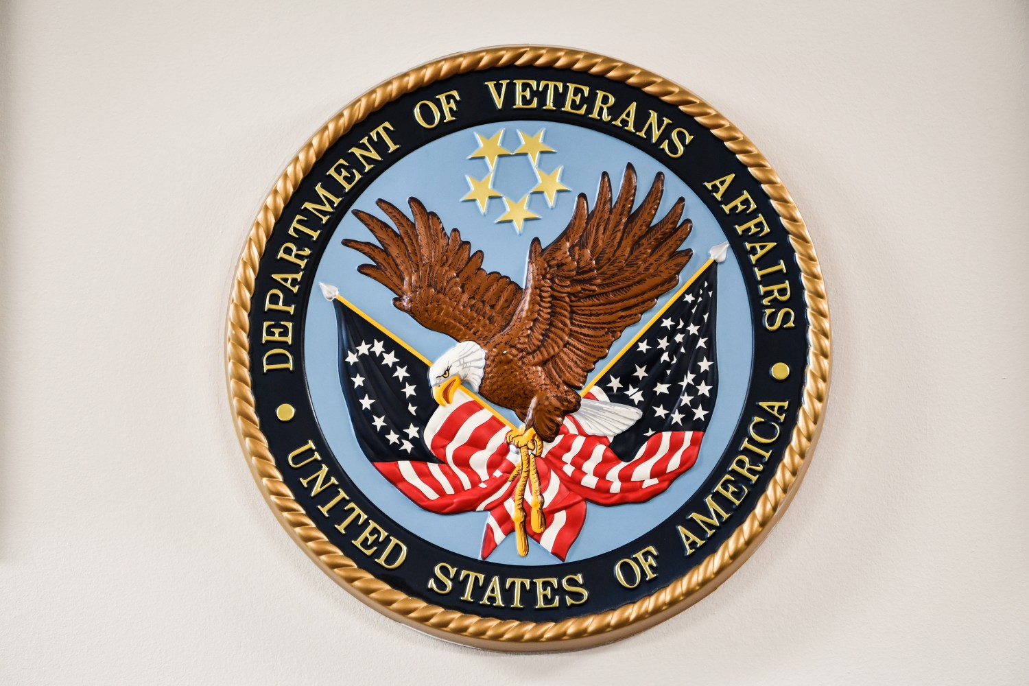 VA logo