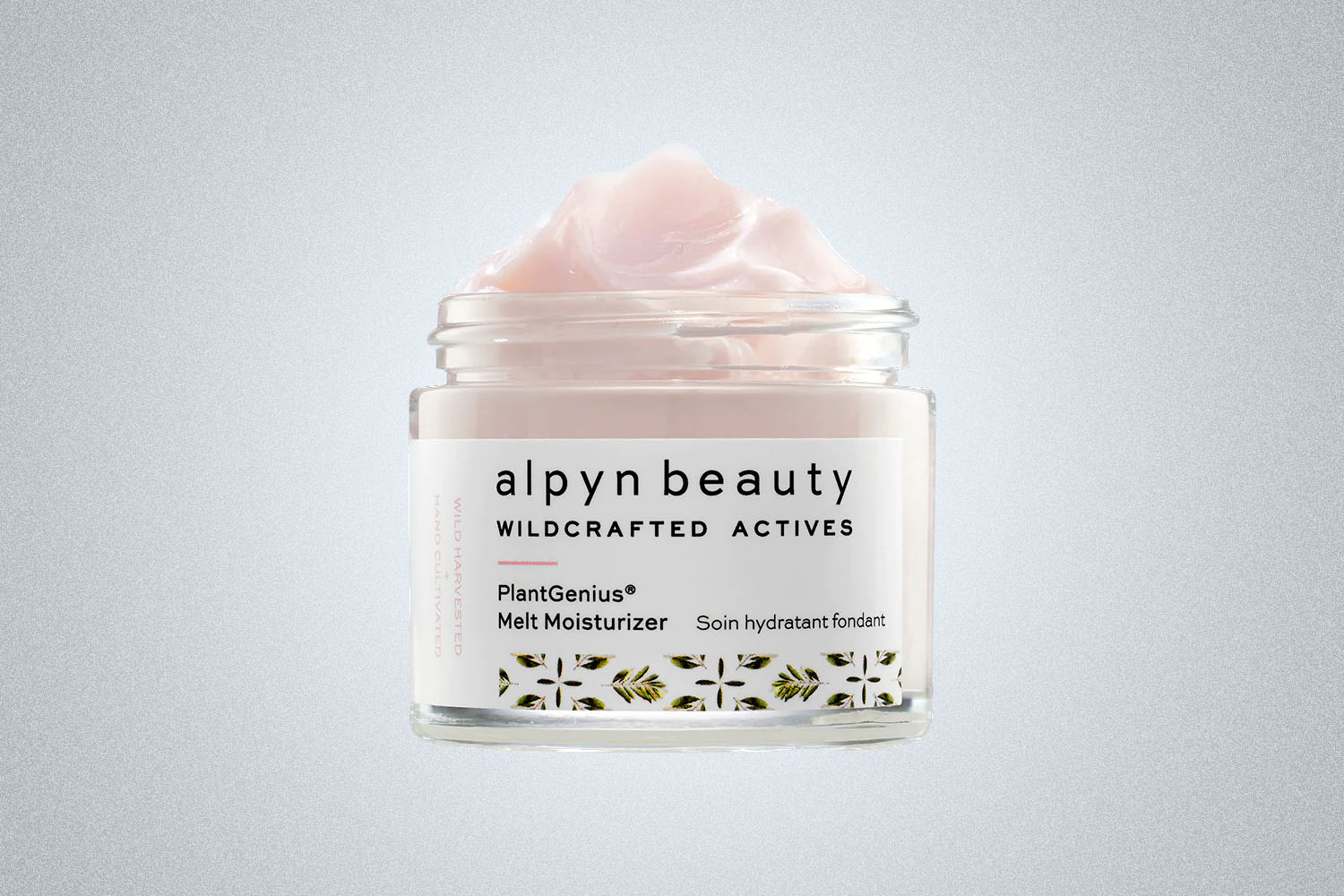 Alpyn Beauty Melt Moisturizer