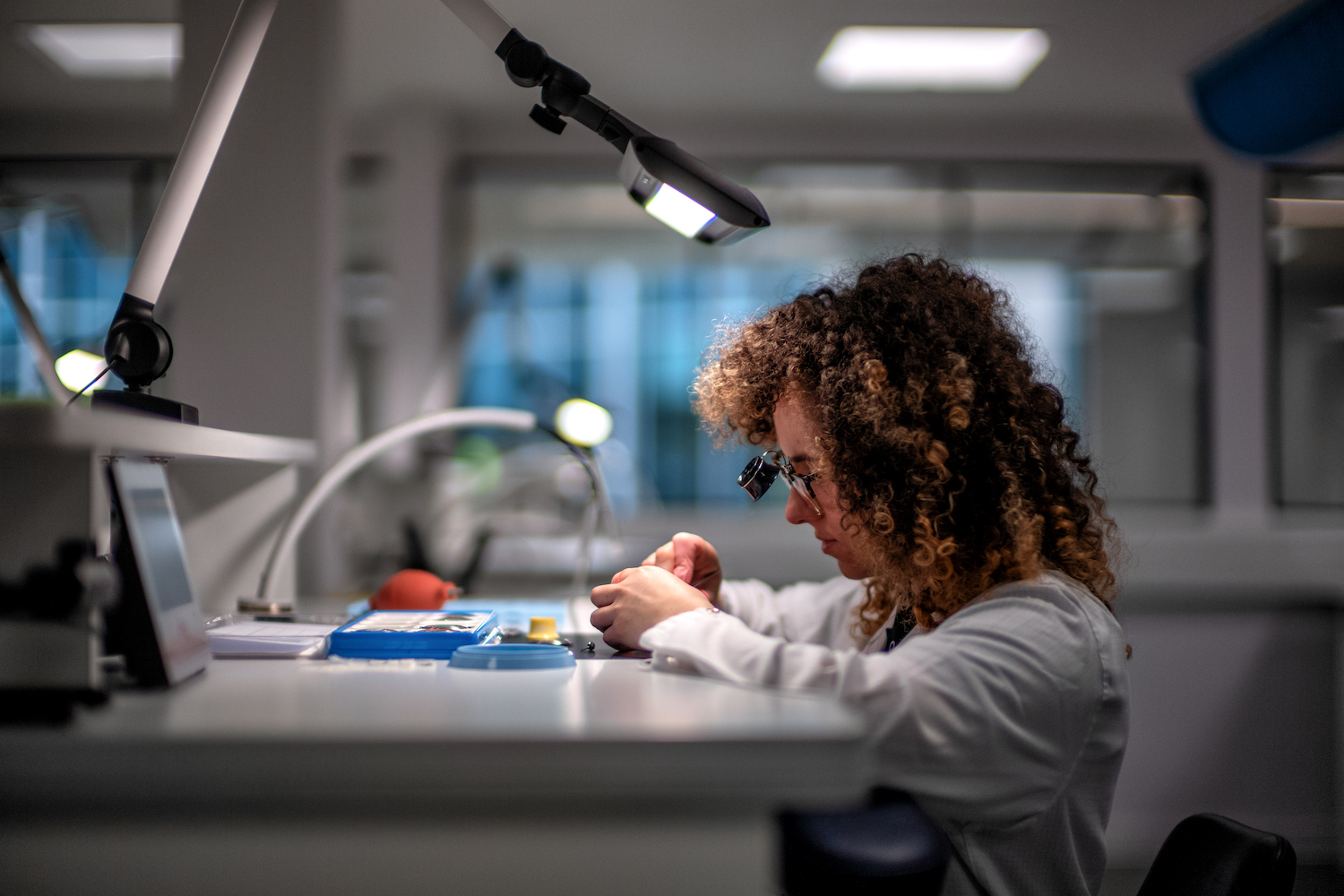 Person working on a watch under a desk light. 
