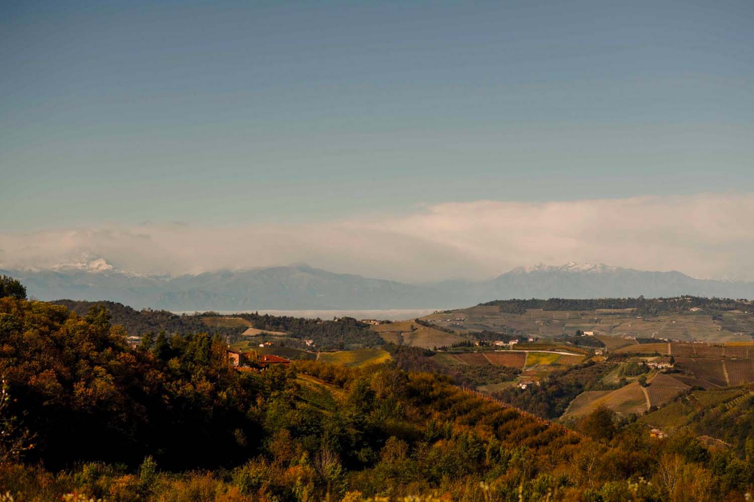 The Casa di Langa Estate