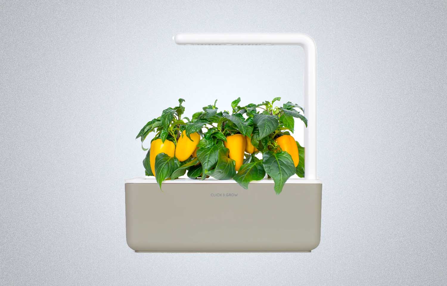 Click &amp; Grow Smart Garden 3 Self Watering Indoor Garden
