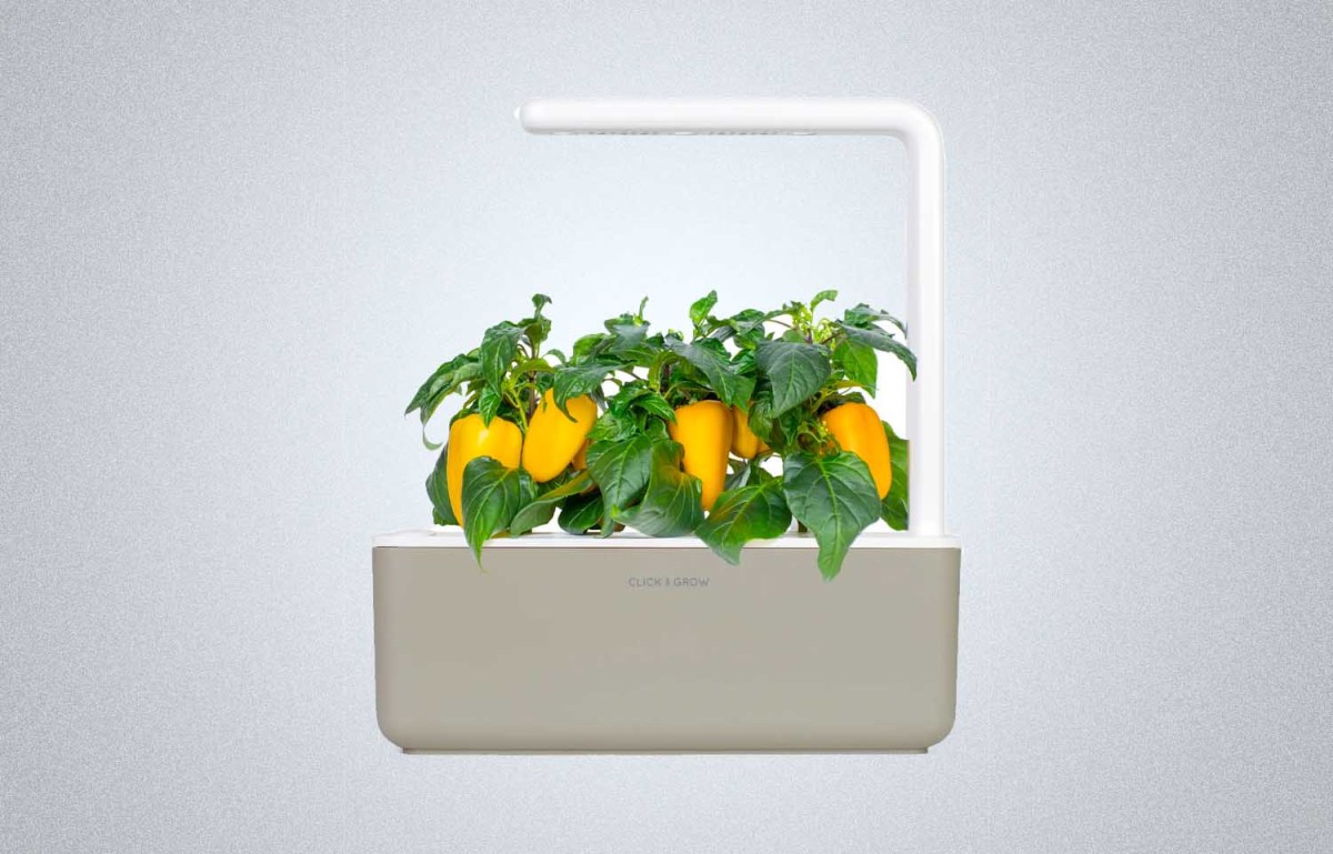 Click & Grow Smart Garden 3 Self Watering Indoor Garden