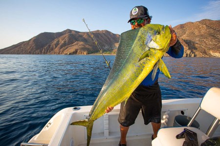 Chasing Dorado (And Finding Home) on the Sea of Cortez
