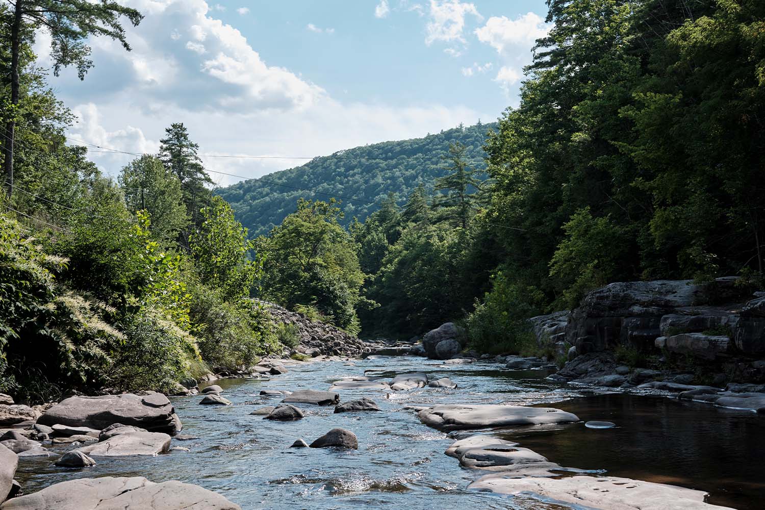Esopus Creek