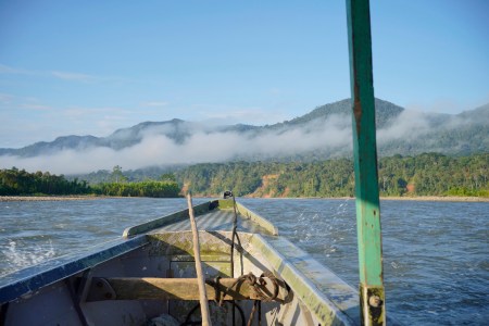 Stand-Up Paddleboarding in the Madre de Dios with the Jungle A-Team