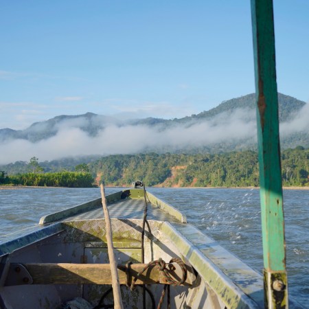 Boatride on madre de dios river in Manu national park, Peru.