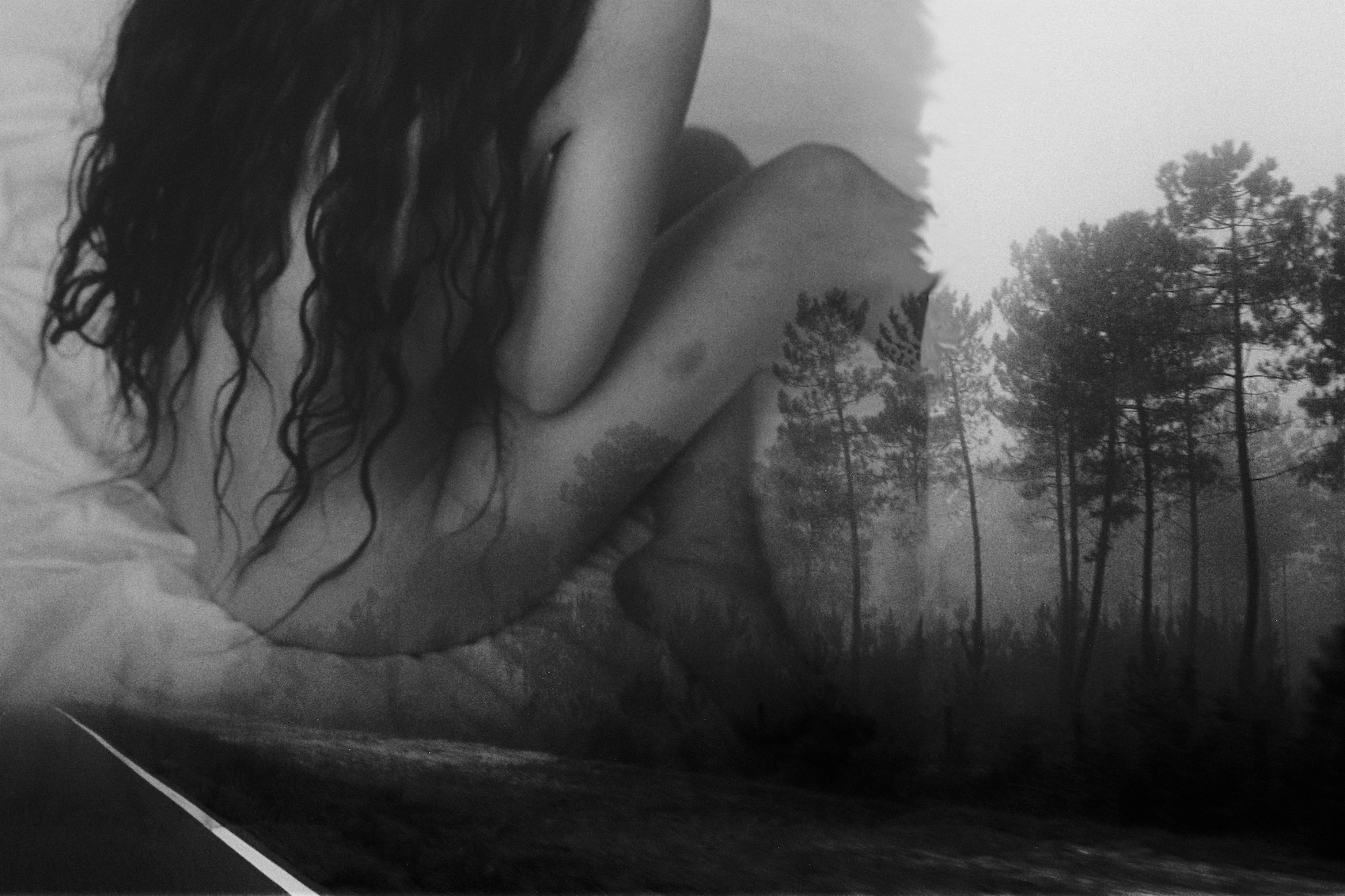 Johanna Stickland art