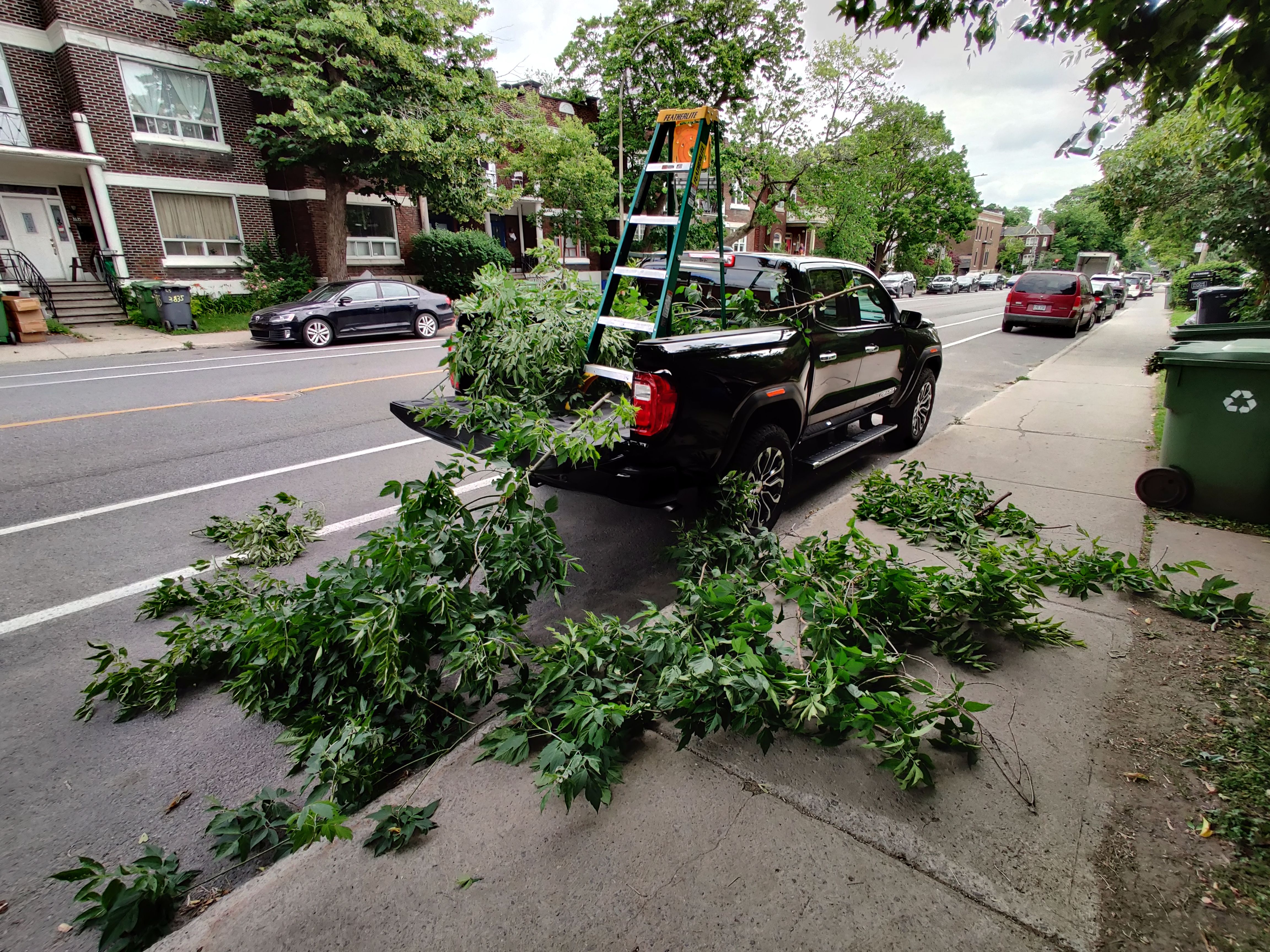 A ladder and fallen tree branches sit in the back of a black 2023 GMC Canyon Denali truck
