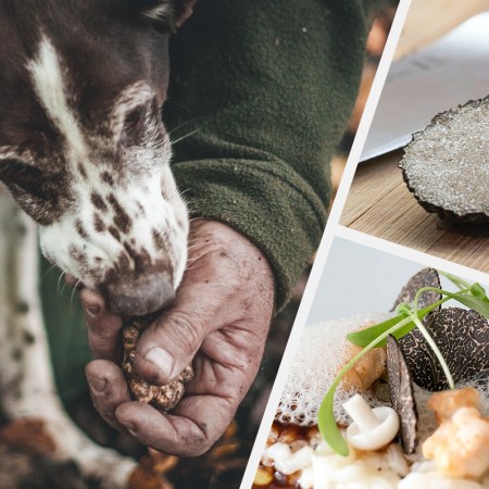 Truffles, anyone?