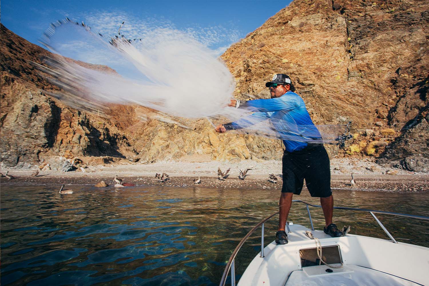 Netting small baitfish