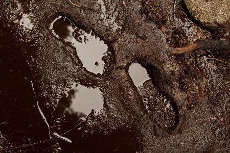 Footsteps