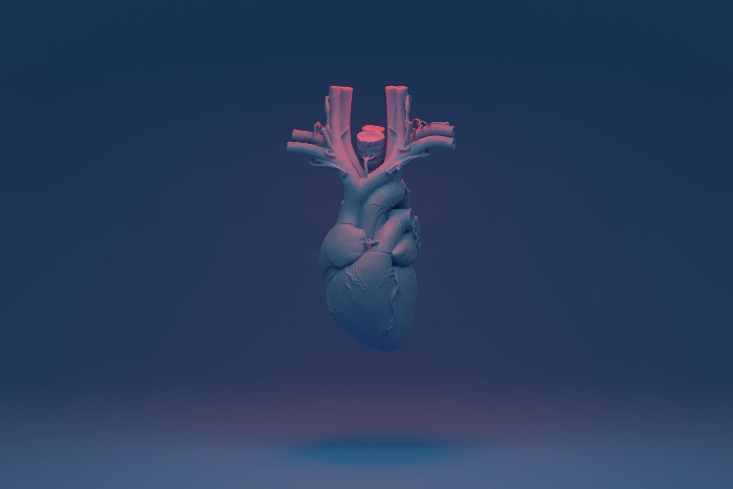 heart illustration