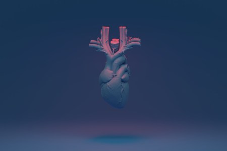 Why Does Heart Disease Lead to Bad Sleep? Scientists Think They Know.