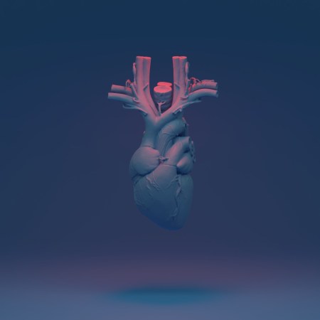 heart illustration
