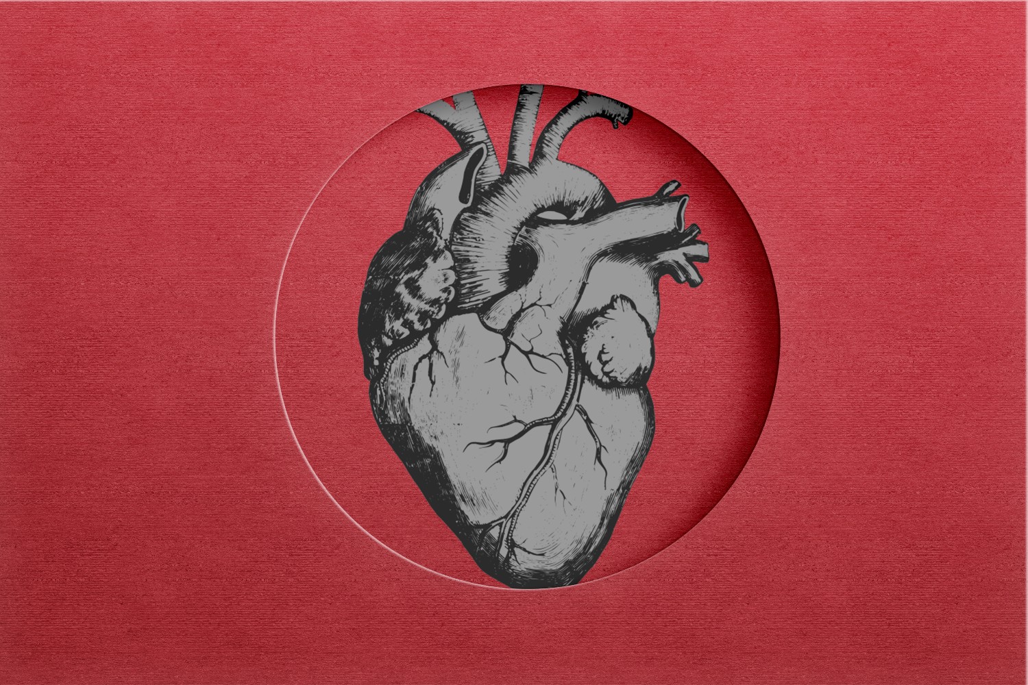 Heart illustration