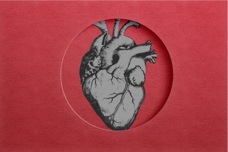 Scientists Have Bad News About Heat and the Human Heart