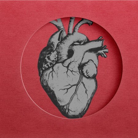 Heart illustration