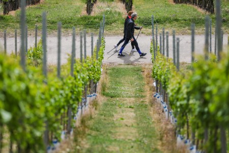 Why You Should Get in the Habit of Taking “Lindy Walks”