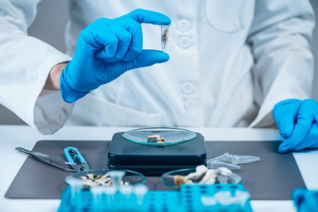 Minneapolis Deprioritizes Enforcement of Laws For Some Psychedelics