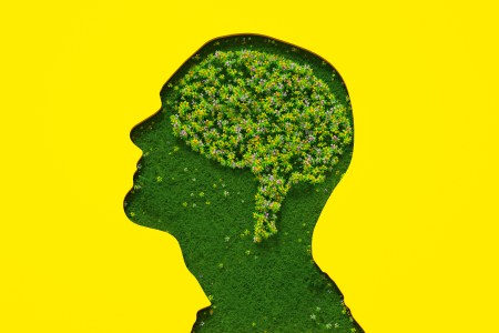 Does One Hour of Meditation Equal Eight Hours of Sleep?