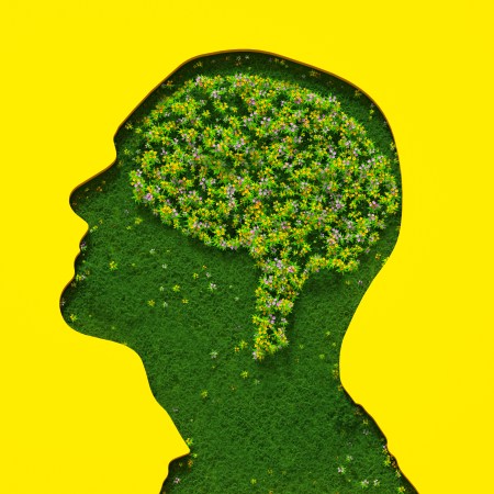 Flowers petals and leaves forming brain shape inside male's head silhouette made out of grass on yellow background.