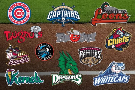 collage of minor league baseball teams logos on a baseball field.