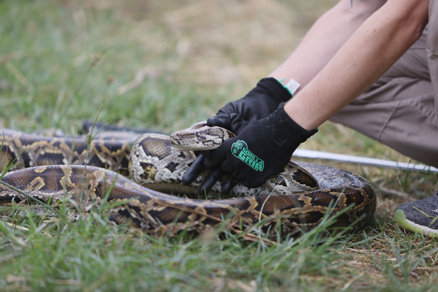 Python capture