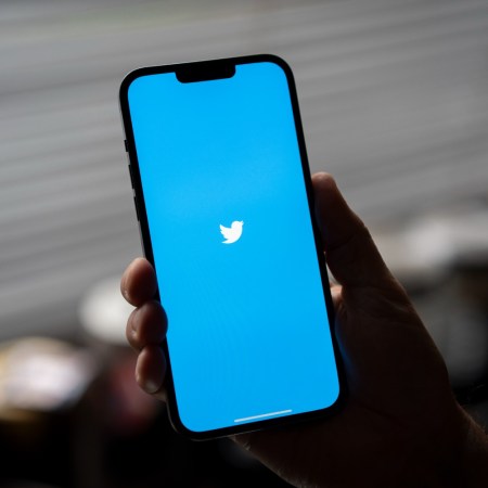 Twitter bird logo