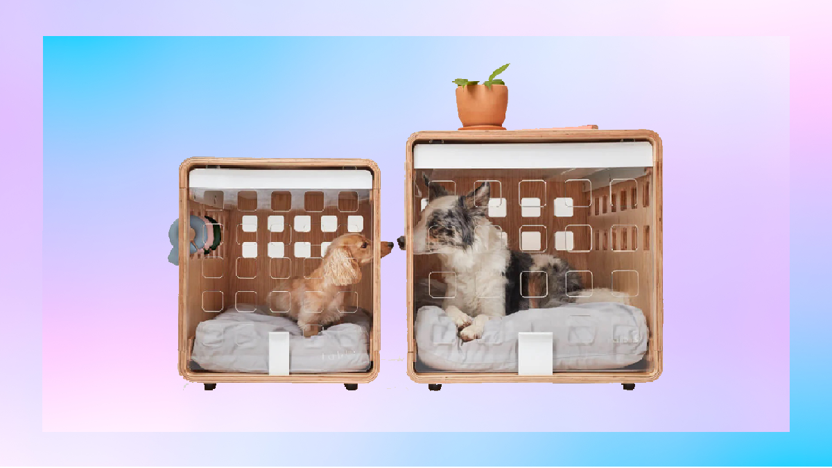 Fable Crates in two sizes