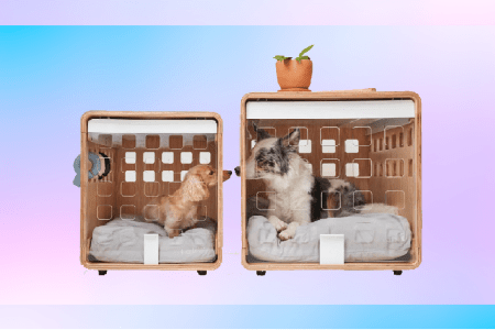 Fable Crate Makes the Best Looking Dog Crate on the Market