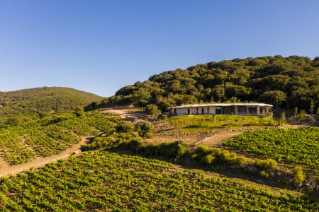 Languedoc Is France’s Most Underrated Wine Region