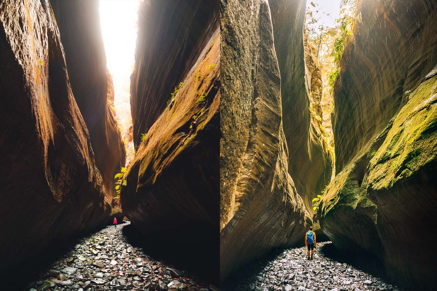 Carnarvon Gorge
