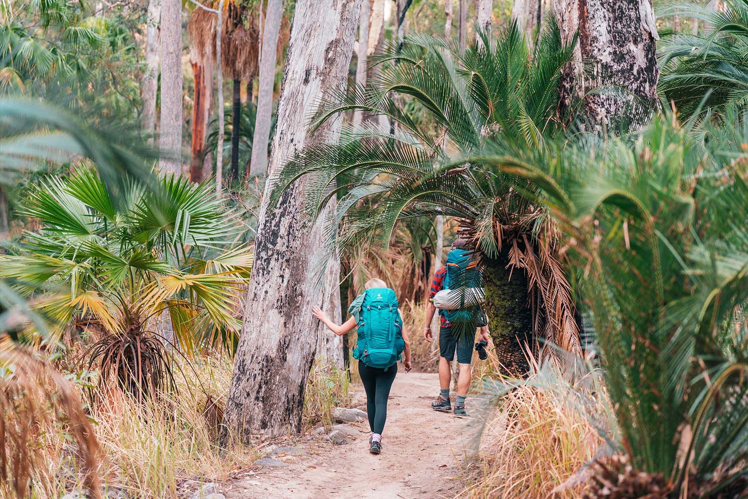 The park is easy to navigate solo, though you can hire a guide.