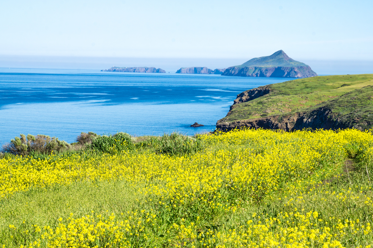 Channel Islands